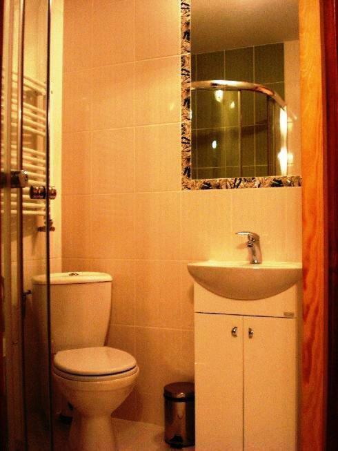 U Lutnika Centrum Homestay *