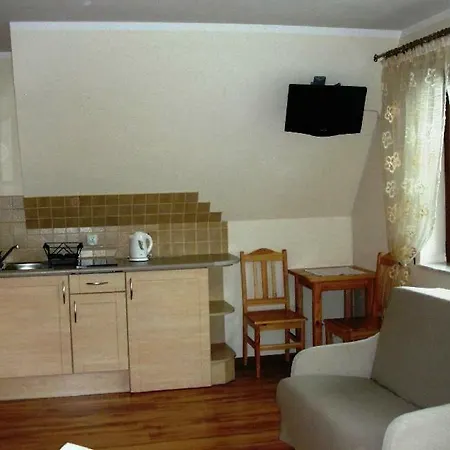 Apartamenty U Lutnika Centrum Zakopane Exterior photo