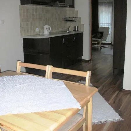 Apartamenty U Lutnika Centrum Zakopane Exterior photo