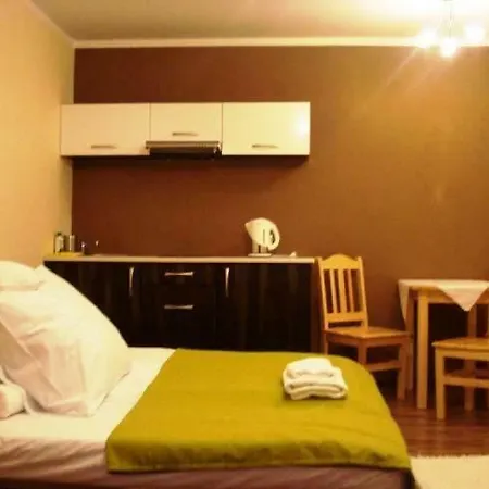 Apartamenty U Lutnika Centrum Zakopane Exterior photo